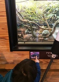 千葉つばさ_動物園蛇.jpeg